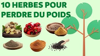 10 herbes pour perdre du poids [upl. by Esil]