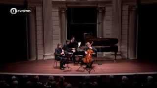 Beethoven Klarinettrio op 11 Gassenhauer Live concert HD [upl. by Filip]