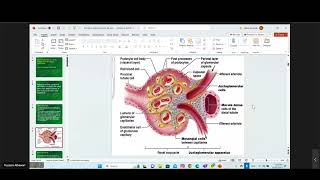 Introduction To Nephrology [upl. by Revell116]