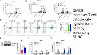 DiaBZl increases Tcell cytotoxicity against tumor cells by STING Code 699 [upl. by Bright]