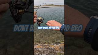 Trevally on 2lb Setup  Super Ultralight Fishing Australia finessefishing ultralightfishing [upl. by Ardnuaet]