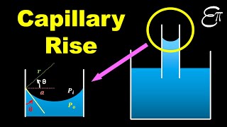 🔴 Capillary Rise  Surface Tension  for Class 11 in HINDI [upl. by Adnawt394]