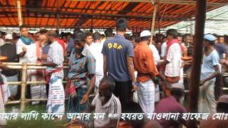 Zikir Atroshi Darbar আটরশি দরবার CHOLE GELA DOYAL BABA keep listening [upl. by Nylasej]