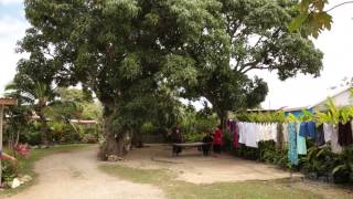 Sunday Life in TONGA [upl. by Renaud]