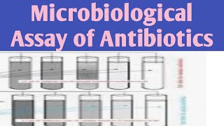 Microbiological Assay of Antibiotics Turbidimetrictube assay jitendrapatel assayofantibiotics [upl. by Sille]