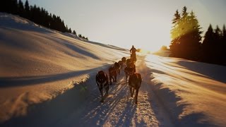 Souvenirs partagés… avec un musher aux Saisies [upl. by Haidabej]