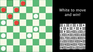 Checkers grandmaster loses in a most glorious manner [upl. by Sivrat866]