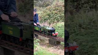 Miniature Railway 🚂🛤️ miniaturerailway steamtrains train [upl. by Bogoch583]