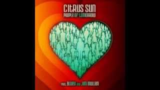 Citrus Sun  What Color Is Love [upl. by Skoorb]