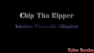 Chip Tha Ripper  Interior Crocodile Alligator Song Lyrics [upl. by Angeli]