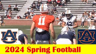 Team Defense vs Team Offense vs Team Red 2024 Auburn Spring Football Game Highlights [upl. by Etnad898]