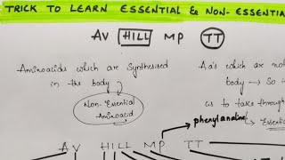 Trick to learn Examples of Essential AminoAcids and Non Essential Amino acids  Biomolecules [upl. by Orimisac]