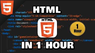 Learn HTML in 1 hour 🌎 [upl. by Aij635]