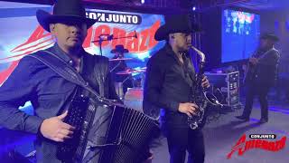 Punchis Punchis  Rumor De Cumbia En Vivo  Conjunto Amenaza [upl. by Bertie]