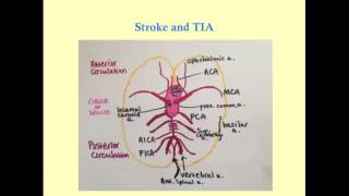 Stroke and TIA  CRASH Medical Review Series [upl. by Lyrpa605]