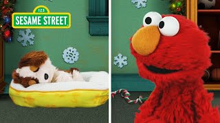 Elmo amp Tangos Christmas Puppy Cam  Fun Sesame Street Holiday Songs [upl. by Nyliret675]