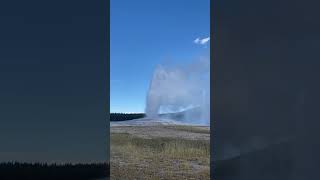 Old Faithful Yellowstone National Park outdoors nature oldfaithful getoutdoors nationalpark [upl. by Clayborne]