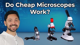 Do Cheap Microscopes Actually Work [upl. by Eliot]