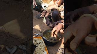 Dogs of Hunters are Like Boss hadzabetribe africa food animals hadzatribe shortsvideo shorts [upl. by Jago]