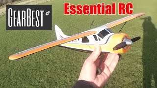 DHC2 A600 RC Trainer Plane with autostability GearBestCOM [upl. by Walke196]