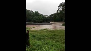 Flooding in Costa Rica due to heavy rains 2 of 3 [upl. by Moshe]