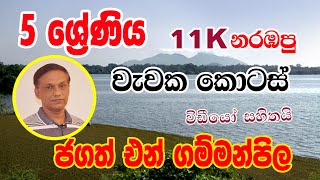 වැවක කොටස්  Wawaka Kotas  Parts of a Lake  Jagath N Gammanpila  Grade 5Ape Panthiya  Yuthukama [upl. by Kolk]