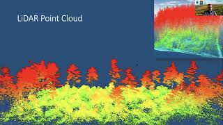 LiDAR Enhanced Forest Inventory  Demystified [upl. by Ezechiel]