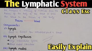 Lymphatic System  Lymph Nodes  Class 11 Biology [upl. by Oeht]