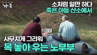 다큐 ‘가족’ 65회 3부 소처럼 일만 하다 죽은 아들 산소에서 사무치게 그리워 목 놓아 우는 노부부 [upl. by Georgine]