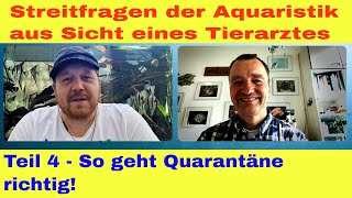 Streitfragen der Aquaristik aus Sicht eines Tierarztes  Quarantäne für neue Fische und Wirbellose [upl. by Ai341]