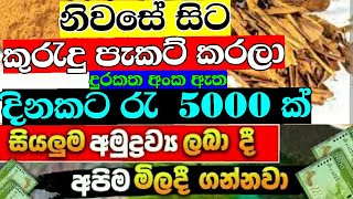 දිනකට රැ 5000 ක් හොයන්න  swayan rakiya at home 2023  earn money online sinhala  swyan rakiya [upl. by Ash]