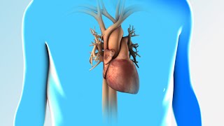 Heart Failure  Discharge Instructions  Nucleus Health [upl. by Ena601]