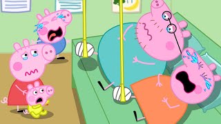 Peppas Family Suffered a Broken Leg  Peppa Pig Funny Animation [upl. by Rie173]