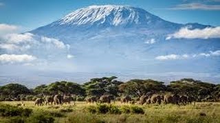 Would anyone like to climb MOUNT KILIMANJARO [upl. by Santiago730]