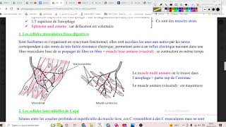 UE2 Physiologie digestive 1 بالعربية  Généralités part 2 [upl. by Gilpin]