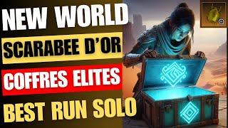 New World  Run solo acide  Coffres élites et scarabée dor [upl. by Nylaras]