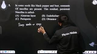 In some seeds like black pepper and beet remnants Of nucellus are present This residual persi [upl. by Circosta]