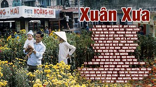 30 Bài Nhạc Xuân Xưa Bất Hủ  Nhạc Tết Xưa Hải Ngoại Hay Nhất KHÔNG QUẢNG CÁO [upl. by Nomihs]