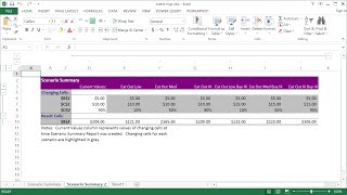 How to Use Excel Scenario Manager [upl. by Reniti]