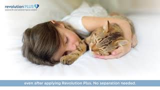 How to Apply REVOLUTION PLUS to Your Cat [upl. by Lenee]