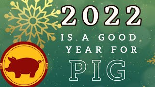 Pig chinese horoscope predictions 2022 is a good year [upl. by Annadiane]