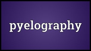 Pyelography Meaning [upl. by Fonville122]