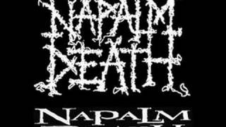 Agoraphobic Nosebleed  Control Napalm Death Cover [upl. by Eillam]