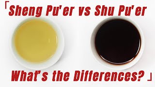 Raw Pu erh Tea vs Ripe Pu erh Tea [upl. by Llehsor]