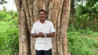 How to use Pseudomonas ampTrichoderma Viride 100 effective way  சூடாமோனாஸ் மற்றும் விரிடி  Thulir [upl. by Weksler]