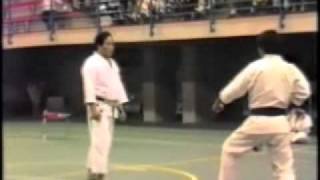 Soke Teruo Hayashi vs Hanshi Seinosuke Mitsuya Jiyu ippon kumite Palermo 84wmv [upl. by Alleber331]