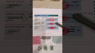 hypertonic and hypotonic biologypoli11biologygrade11 [upl. by Aihseuqal]