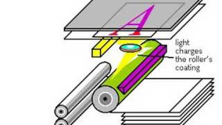 How Photocopiers Work [upl. by Geof806]