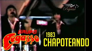 1983  CHAPOTEANDO  Grupo Pegasso  El Pollo Estevan y Emilio Reyna [upl. by Eillah926]