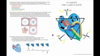 Ten Minute ECG Part 1Okay It Is 20 Min But I Tried [upl. by Lundgren]